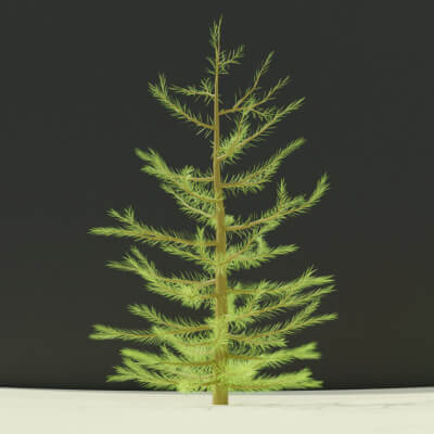 Stylized Pine Tree 3D Model &ndash Low Poly Nature Asset