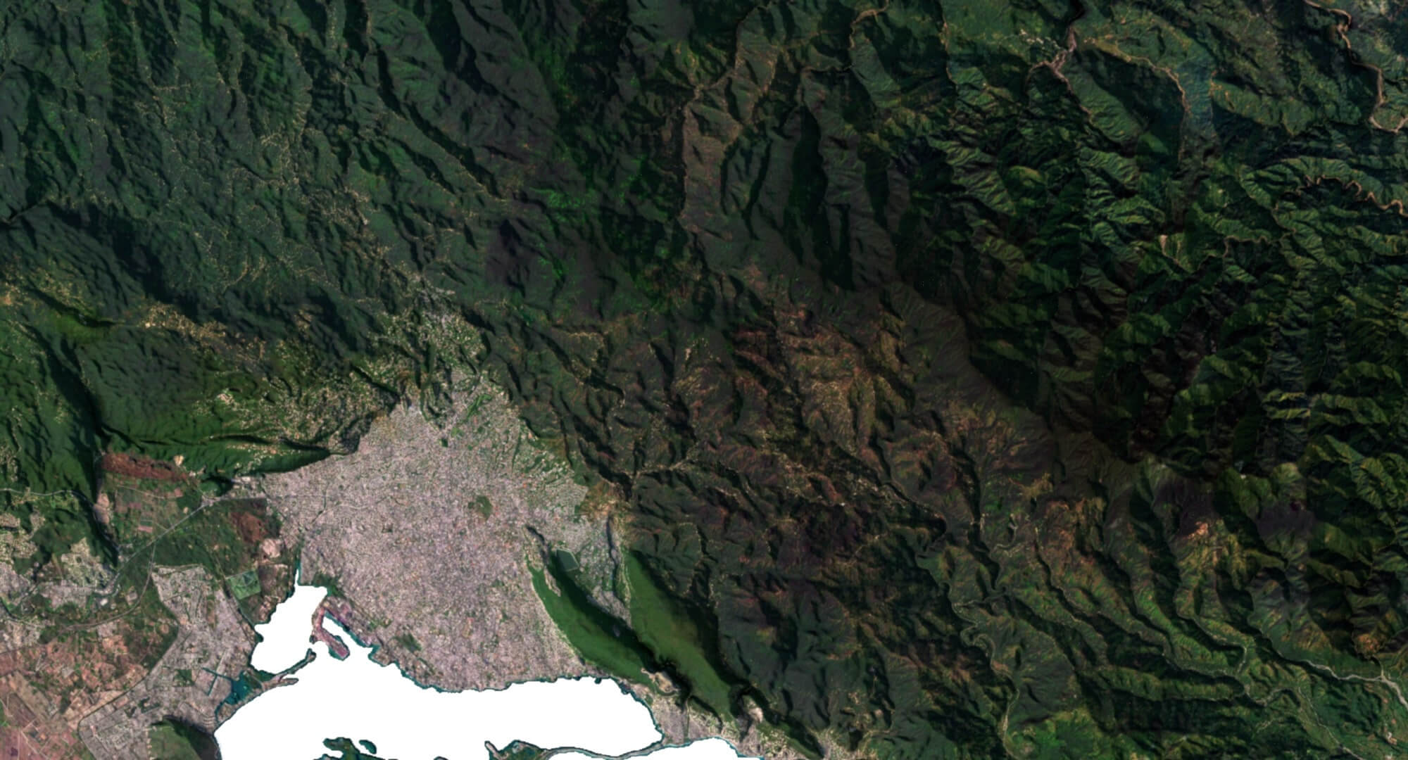 Jamaica Terrain 3D Map by Shustrik