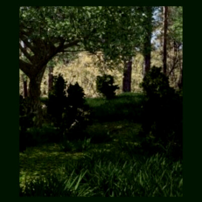 Forest Environment
