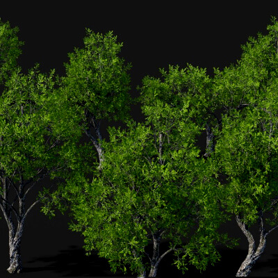Tree Movements