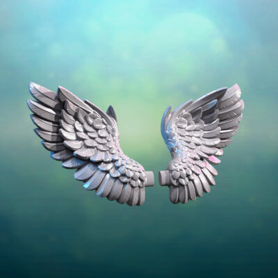 Angel Wings I