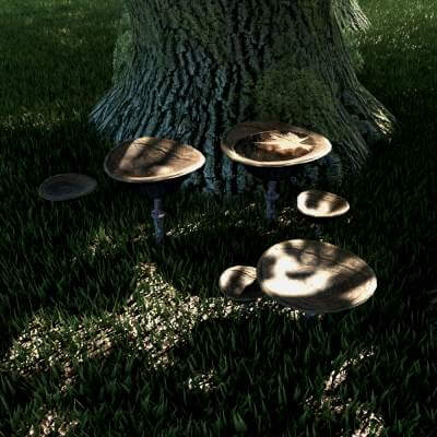 Set Mushrooms 6 Types