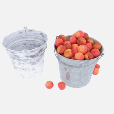 Apple Buckets