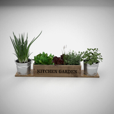 Kitchen Garden