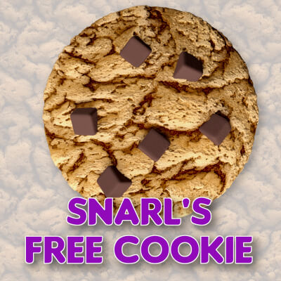 Free Chocolate Chip Cookie