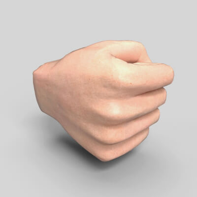 Fist RH1 3D Model by Speedup