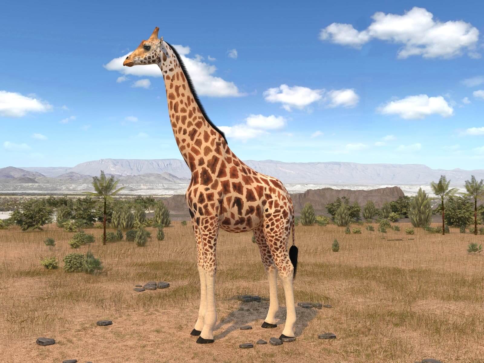 Giraffe - 3D Model by SQUIR