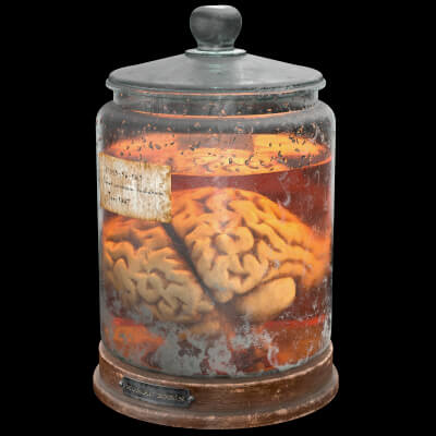 Vintage Organ Jar Human Brain PBR