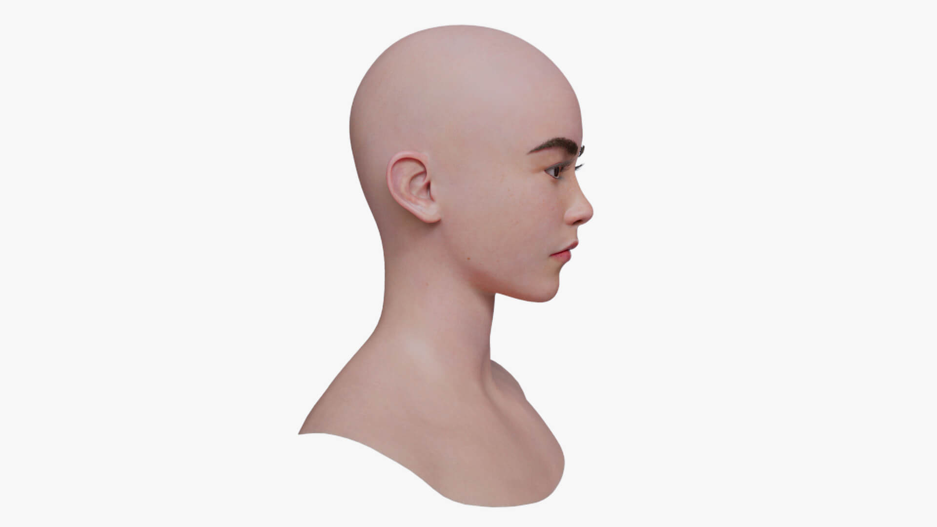 Asian Female Head With Unreal Metahuman Topology V1 - 3D Model by ...