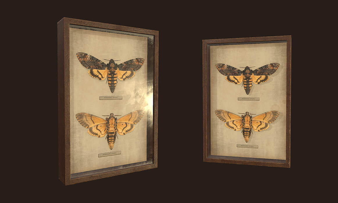 Entomological Pictures. Beetles and Butterflies - 3D Model by Tatiana ...
