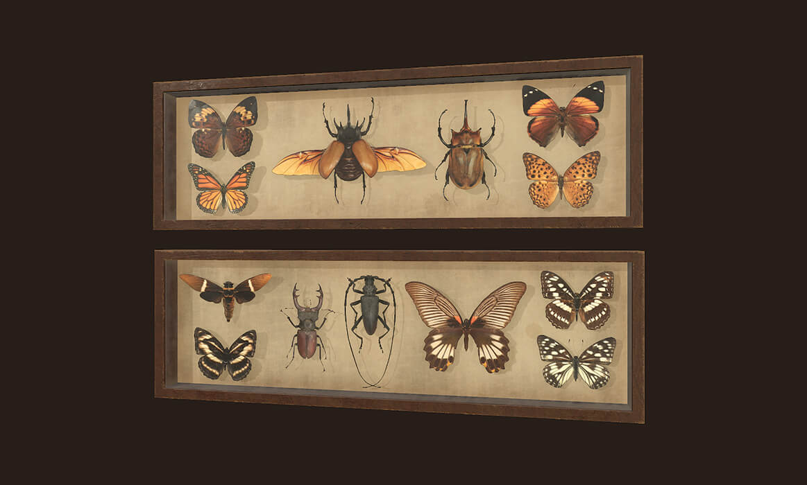Entomological Pictures. Beetles and Butterflies - 3D Model by Tatiana ...