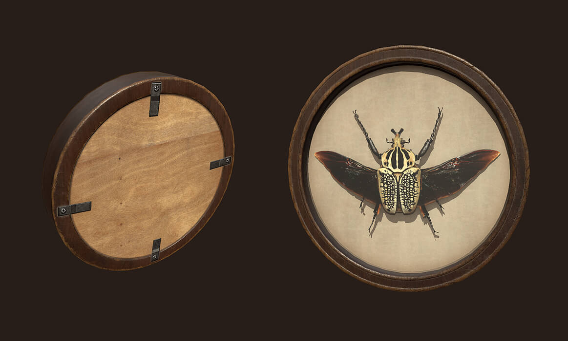 Entomological Pictures. Beetles and Butterflies - 3D Model by Tatiana ...