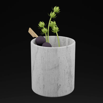 Berry Bliss Drink - 3D Model by thedazking