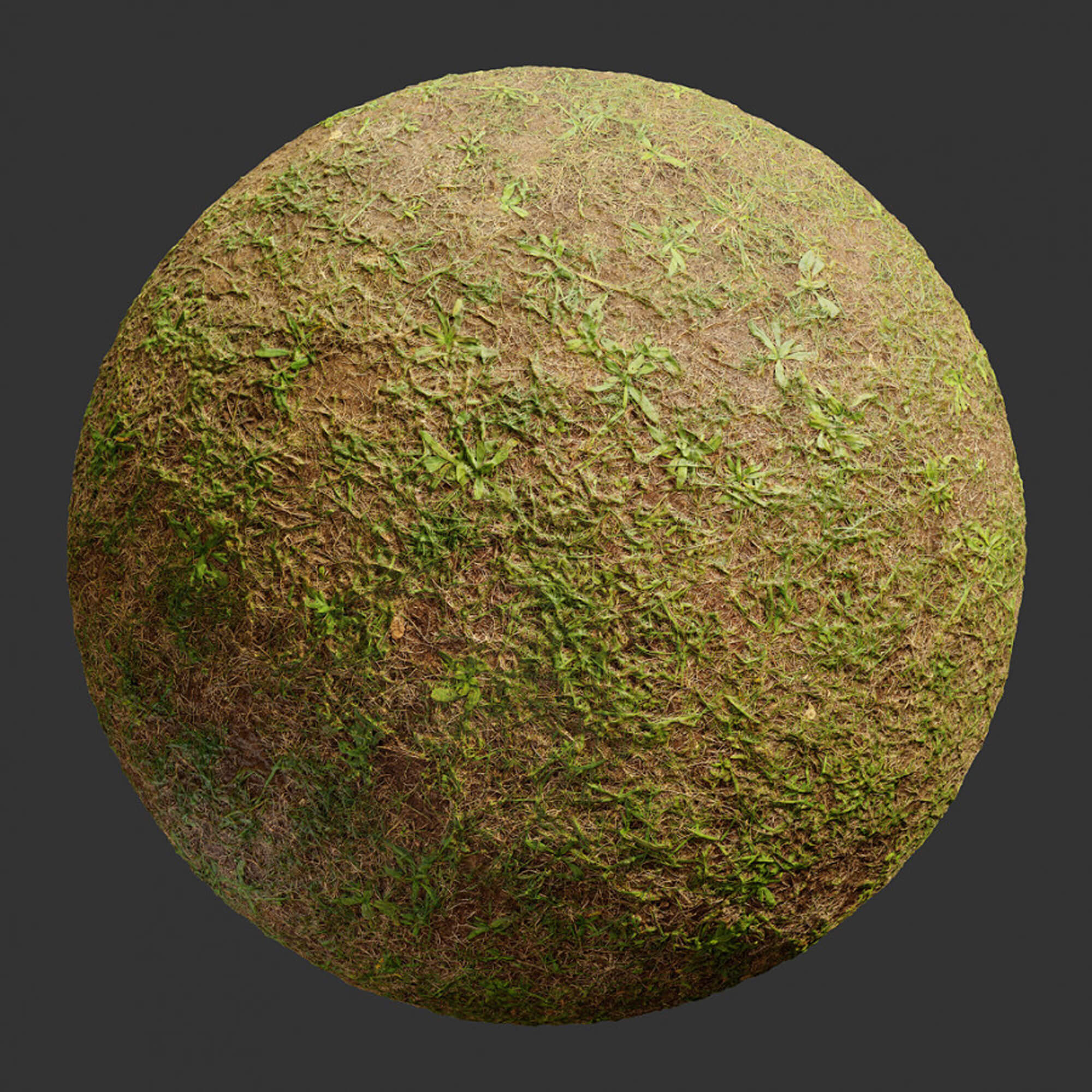 23 Texture Ground 4 Bundle by things