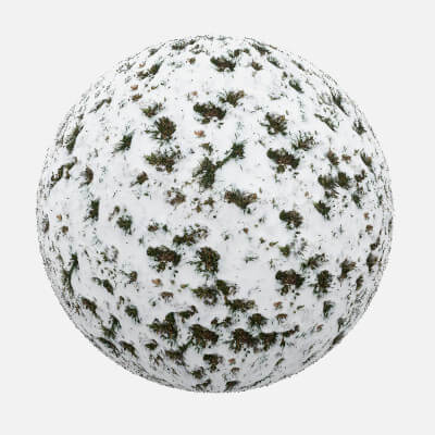 Snow Covering Grass 11 Pbr Texture By Things