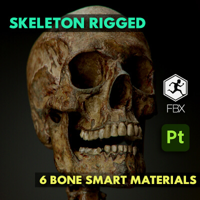 Rigged Skeleton  Bone Smart Materials