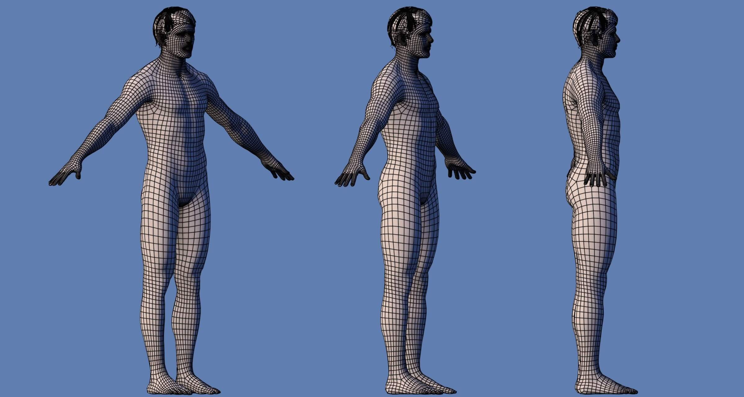 Male Character - 3D Model by Tollaru