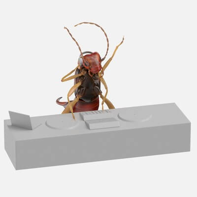 Earwig DJing - 3D Model by Tornado Studios