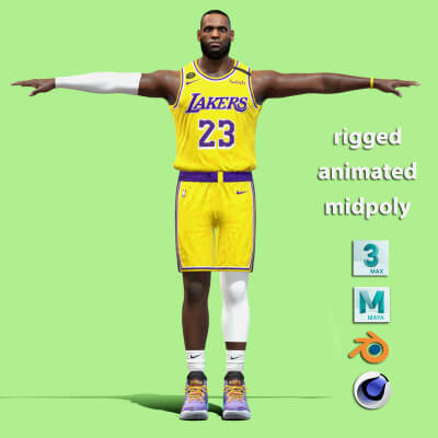 T-P Rigged Lebron James NBA