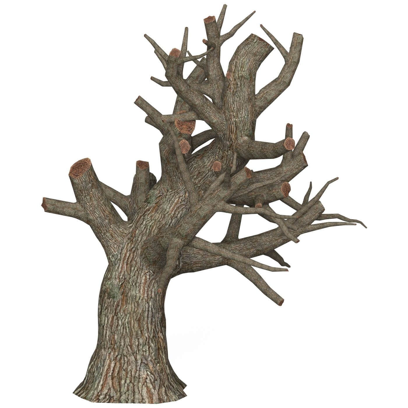 Game Ready Dead Tree 01 - 3D Model by TreeWorld3d