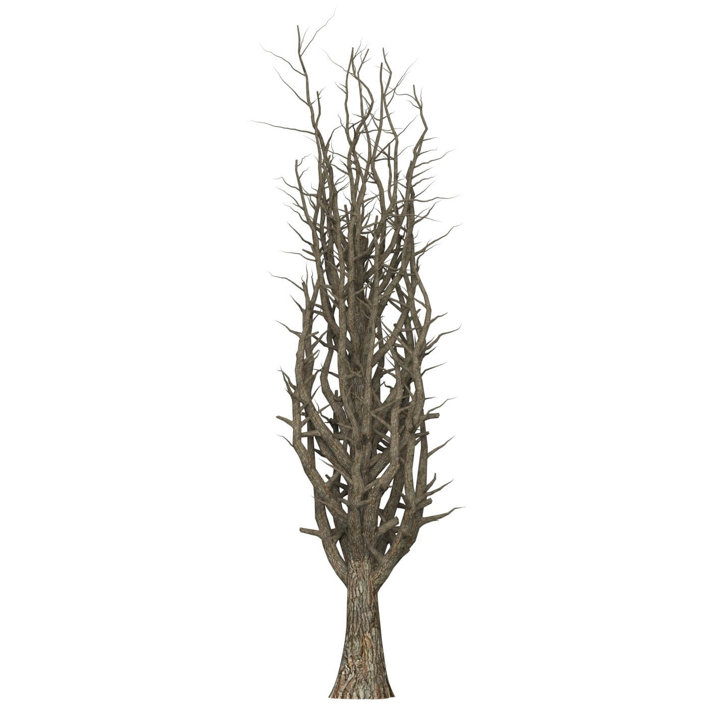 Game Ready Dead Tree 10 - 3D Model by TreeWorld3d