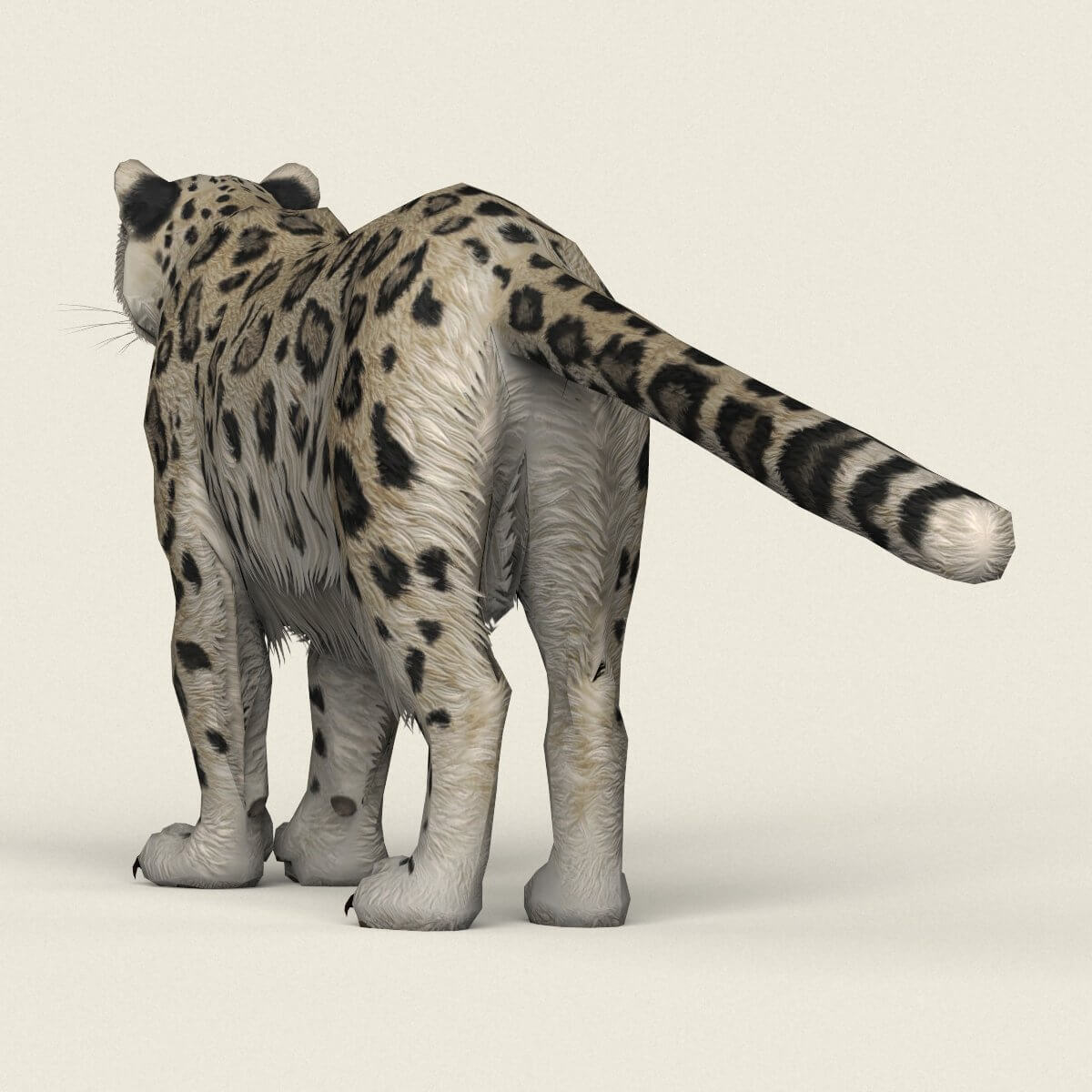 Snow Leopard - 3D Model by TreeWorld3d