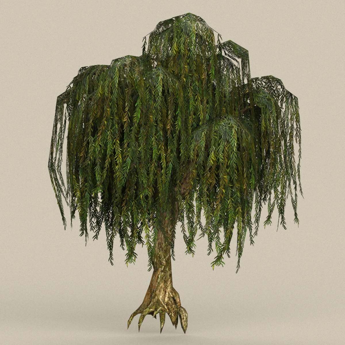 Tree 27 - 3D Model by TreeWorld3d