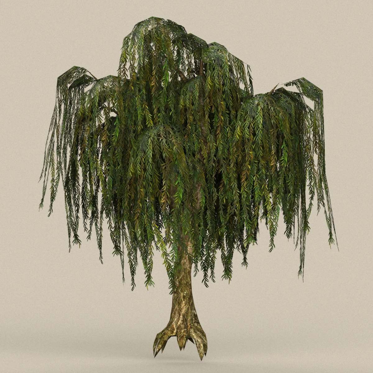 Tree 27 - 3D Model by TreeWorld3d