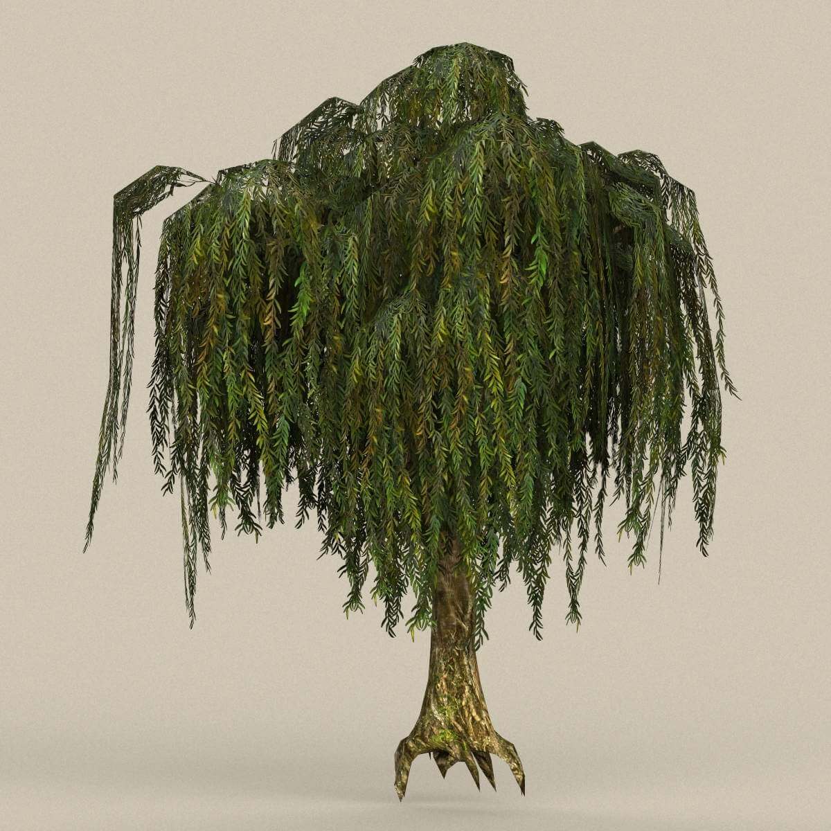 Tree 27 - 3D Model by TreeWorld3d