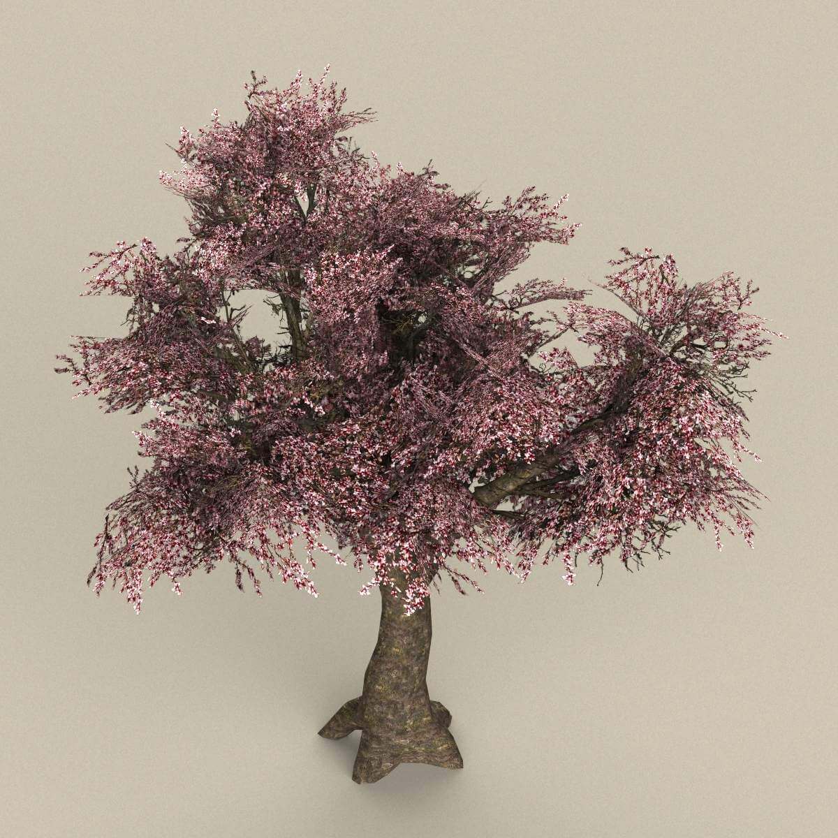 Tree 34 - 3D Model by TreeWorld3d