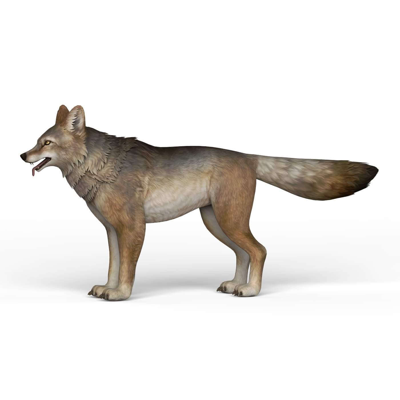 Wolf 3D Model by TreeWorld3d