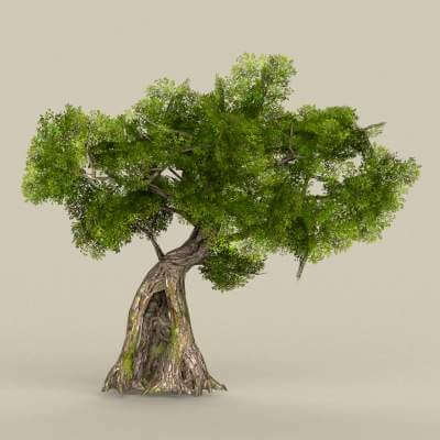 Tree 07 - 3D Model by TreeWorld3d