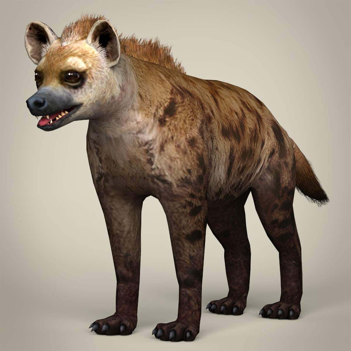 Hyena - 3D Model by TreeWorld3d