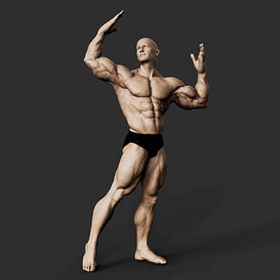 Bodybuilder Pose - 3D Model by Trish