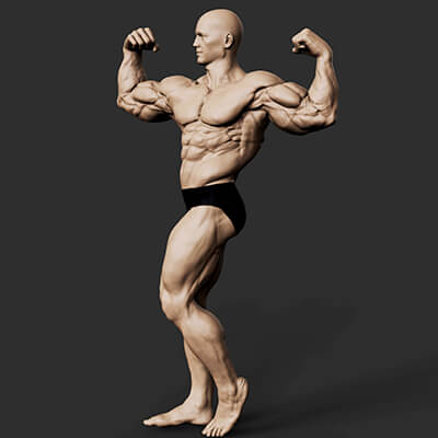 Bodybuilder Pose - 3D Model by Trish