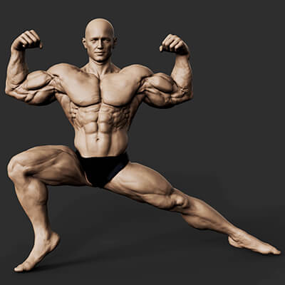 Bodybuilder Pose - 3D Model by Trish