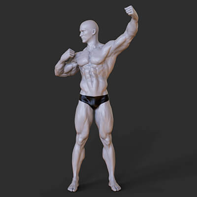 Bodybuilder Pose - 3D Model by Trish