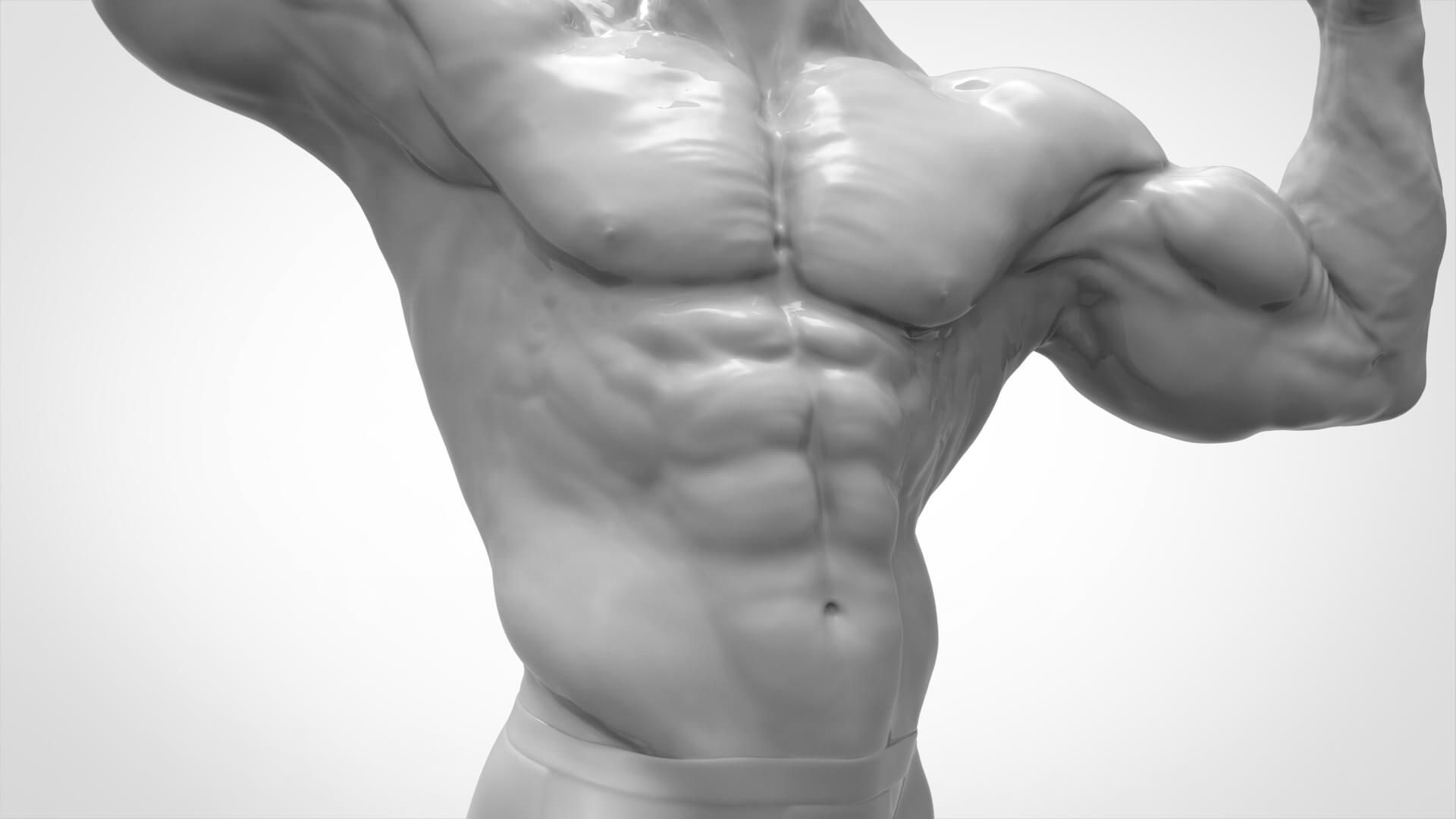Bodybuilder Pose - Anatomy 3D Model by Trish