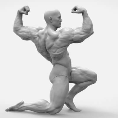 Bodybuilder Pose - Anatomy 3D Model by Trish
