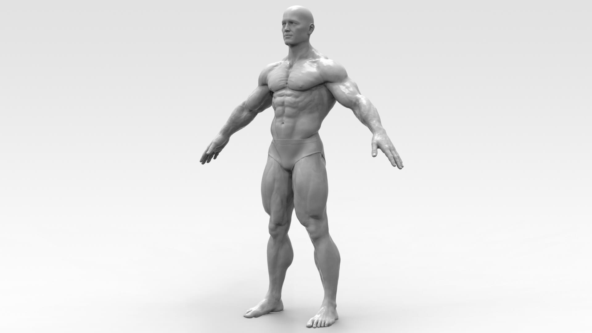 Bodybuilder Pose - Anatomy 3D Model by Trish