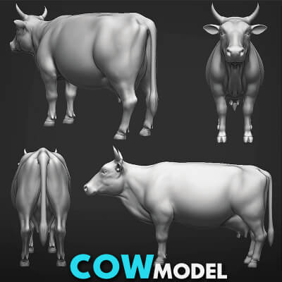 Cow Rear Model Cow Dairy Sculpt - 3D Model by Tsering