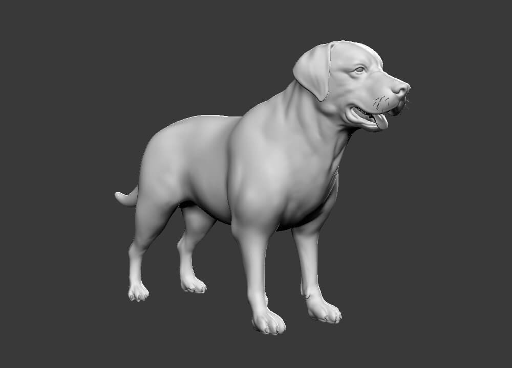 Highpoly Dog Pack by Tsering