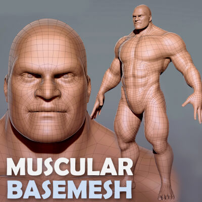 Muscular Male - 3D Model by Tsering