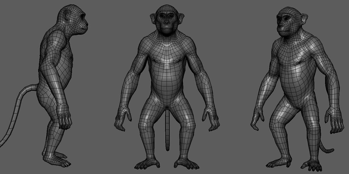 Primate Pack ( Chimp, Monkey, Gorilla, Orangutan) - 3D Model by Tsering