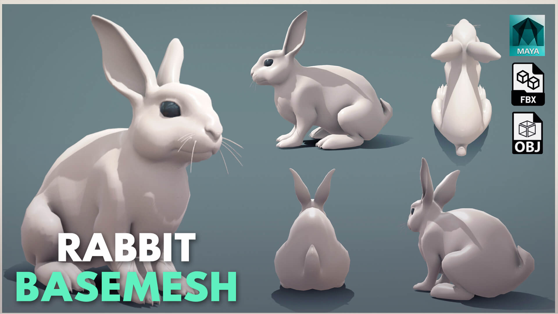 Rabbbit Model by Tsering