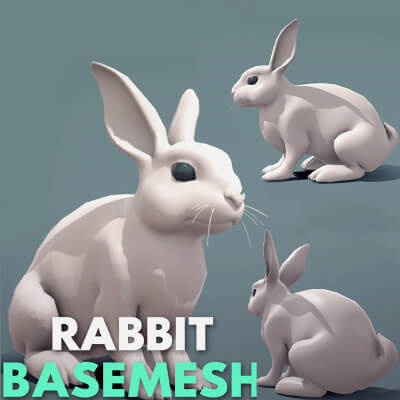 Rabbbit Model by Tsering