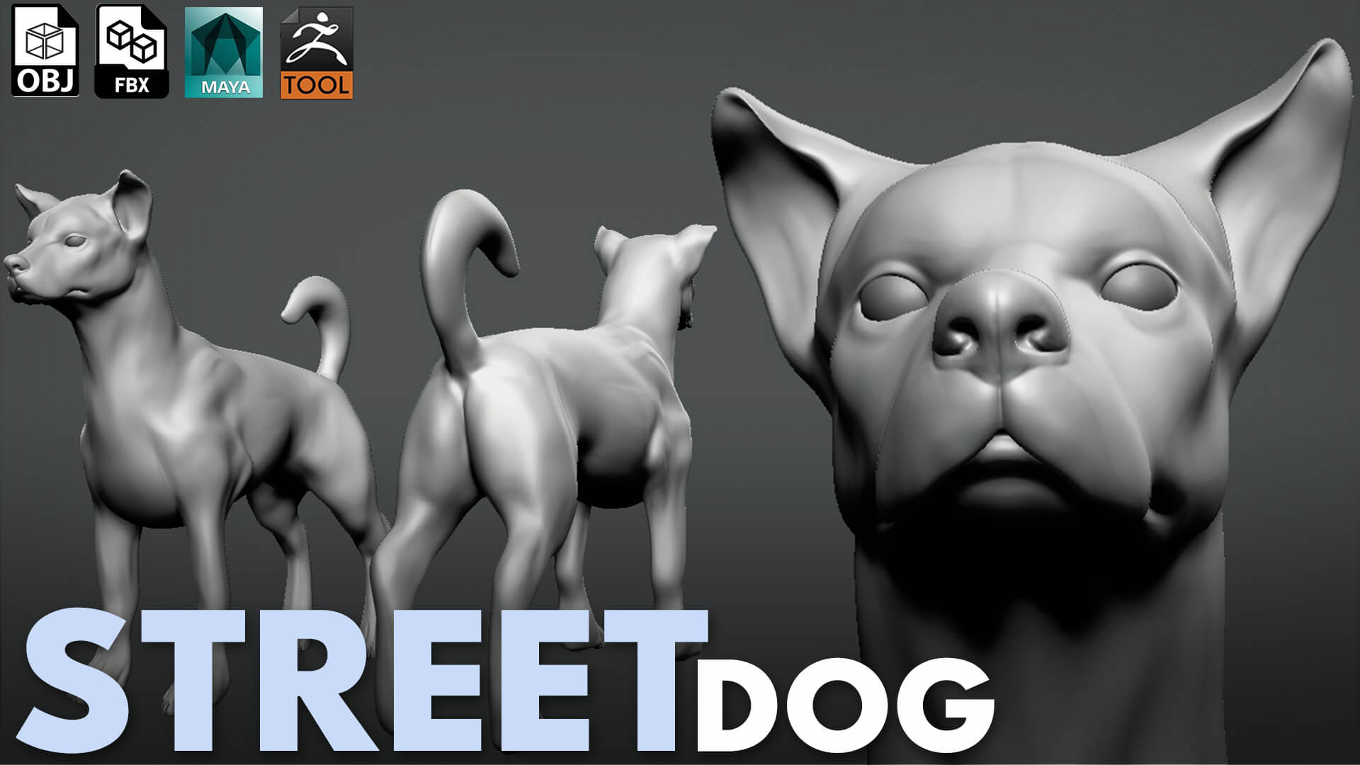 Street Dog Sculpt 3D Model by Tsering