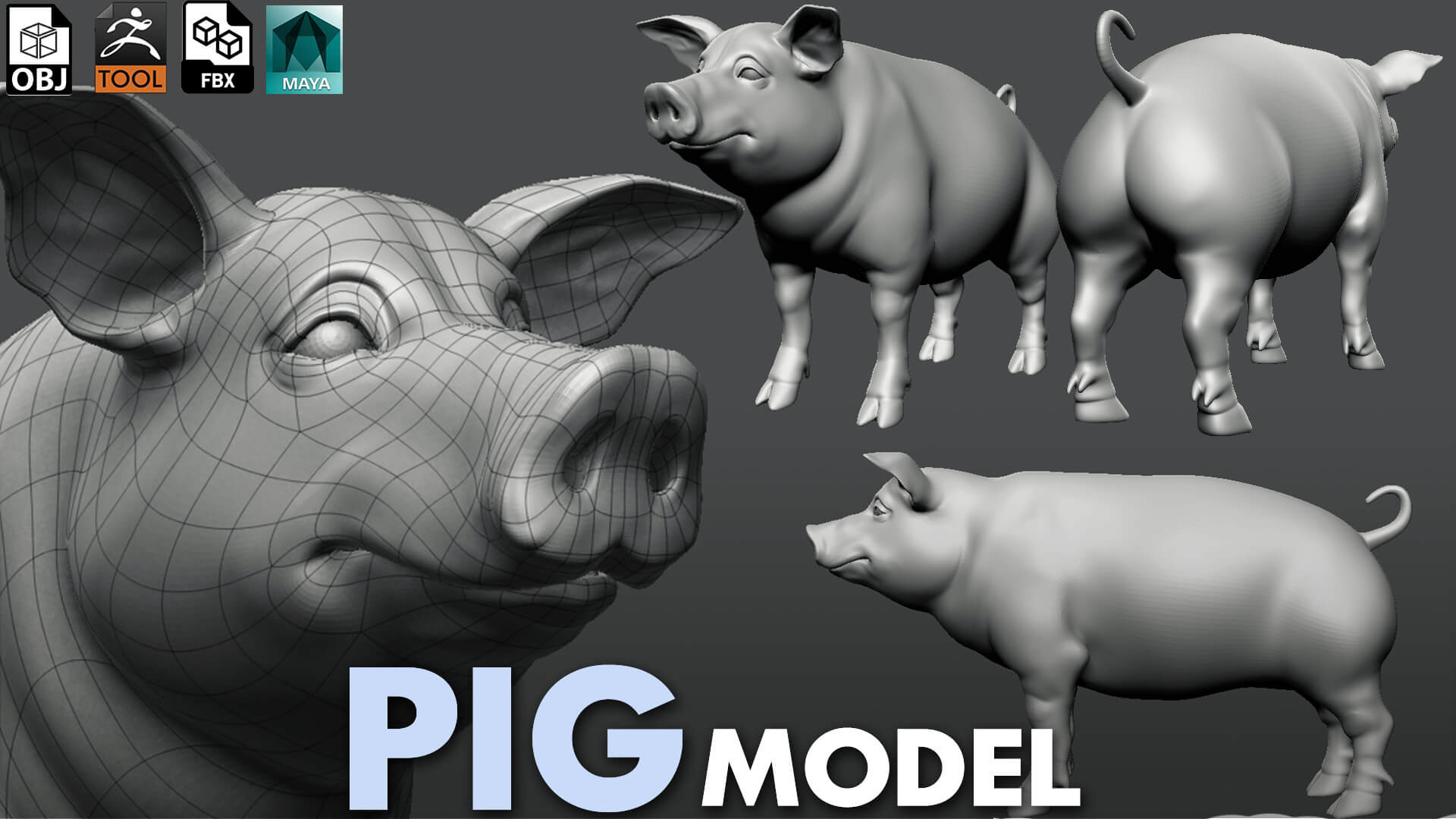 The Pig Sculpt - 3D Model by Tsering
