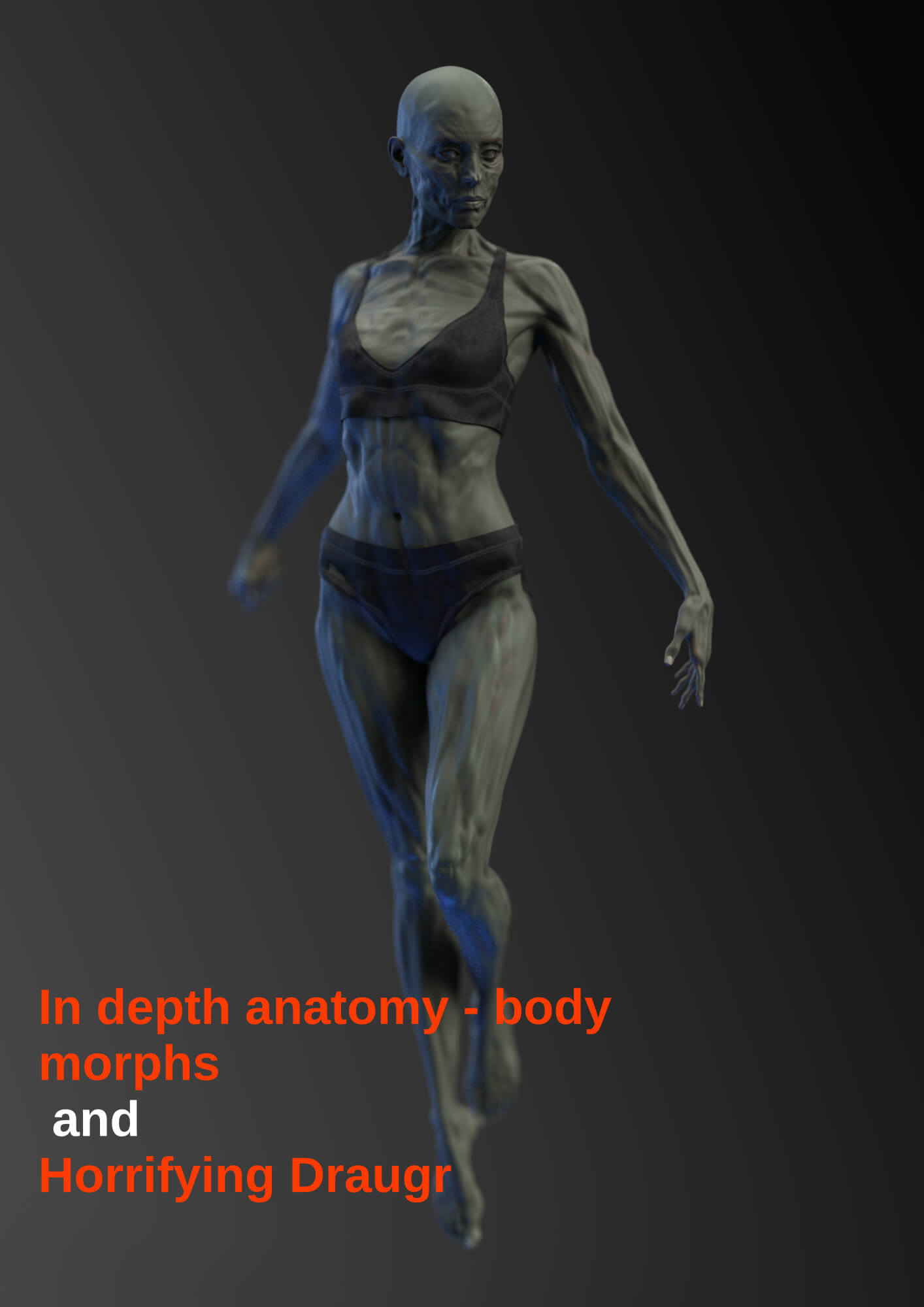 In Depth Anatomy Body Morphs V1 Daz Content by undeadcrabb