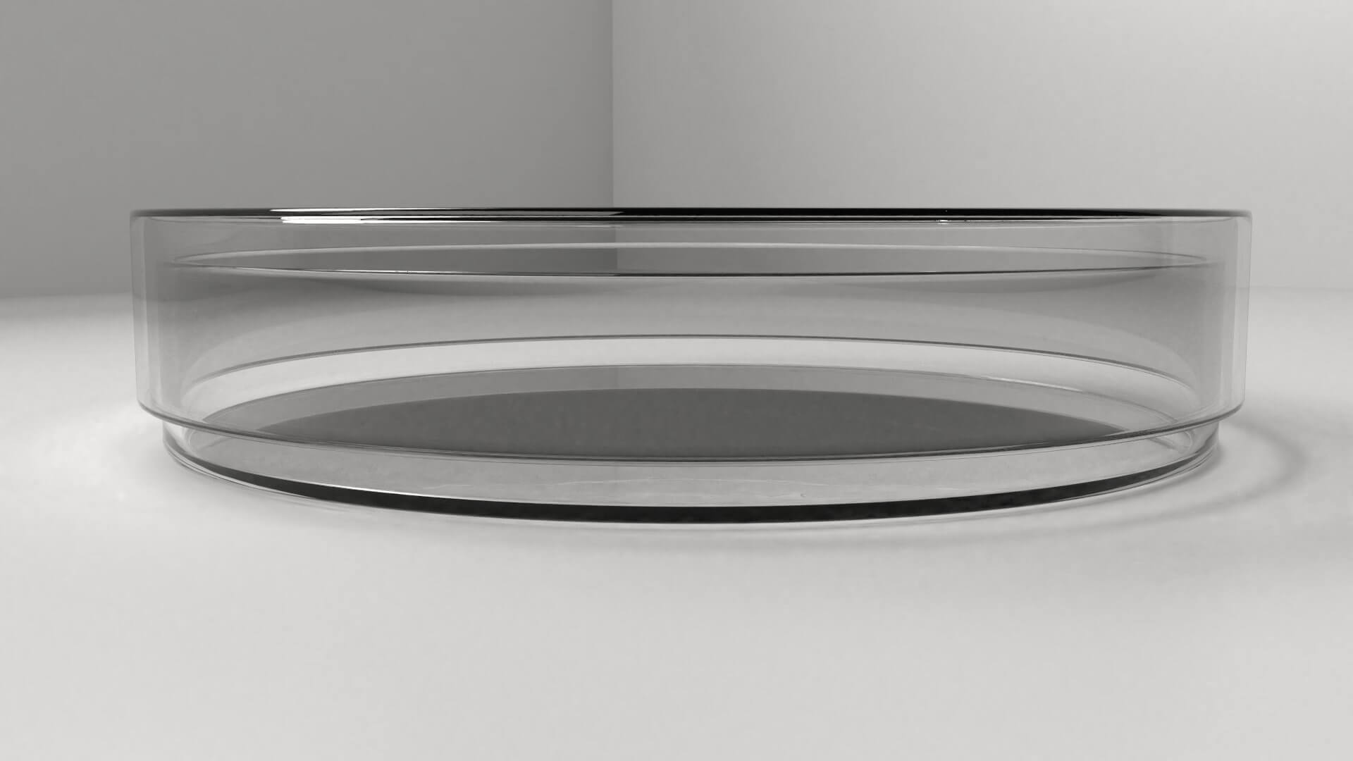 Glass Petri Dish 3D Model by unos